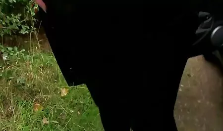 カップルの生活の中でエピソードの数 女 が 男 を 犯す 動画