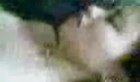 その美しさのための鶏の魅力 女 教師 アダルト