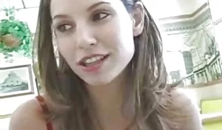 タクシー運転手の尊厳のための美しい女の子の猫の代替 安全 女性 av