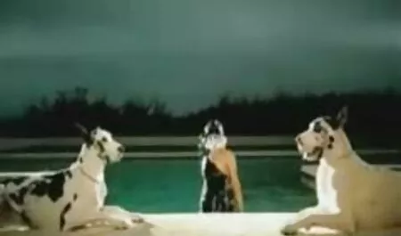 なんてこった！ エロ 女の子