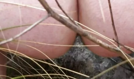 ベラとアンジェリカは、ハードスタッドとの熱い性交を持って 女 友達 セックス 動画