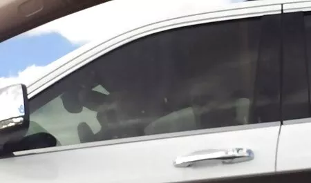 茶色の髪の女の子、癌とポーズをとり、仕事の同僚に与えられました 無料 えろ 動画 先生