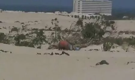 温泉ハード性 女の子 同士 セックス 動画