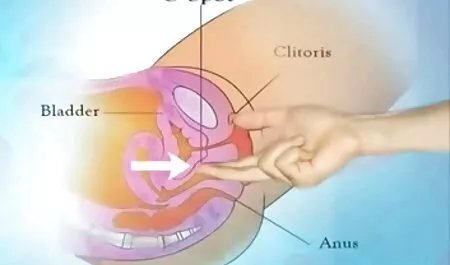 タクシーのドライバーの加熱なしでお客様 女性 の アダルト 動画 無料